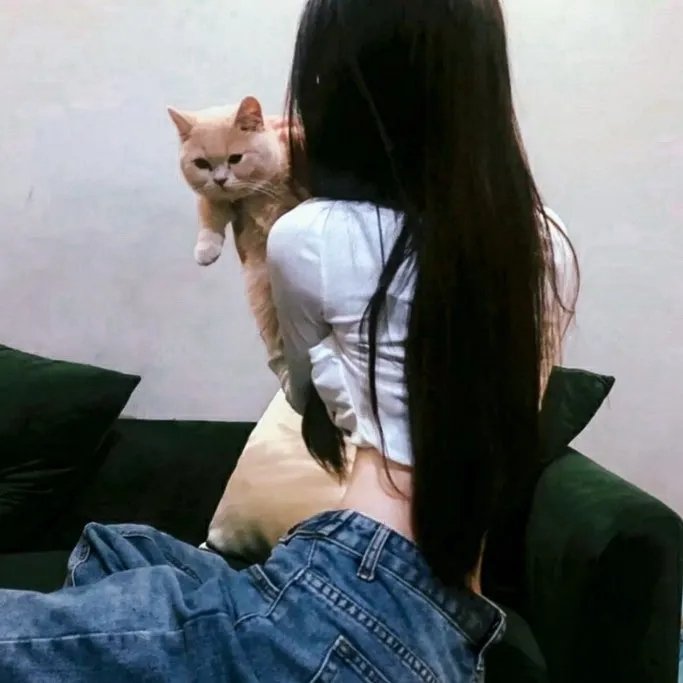 金鹰访谈2012